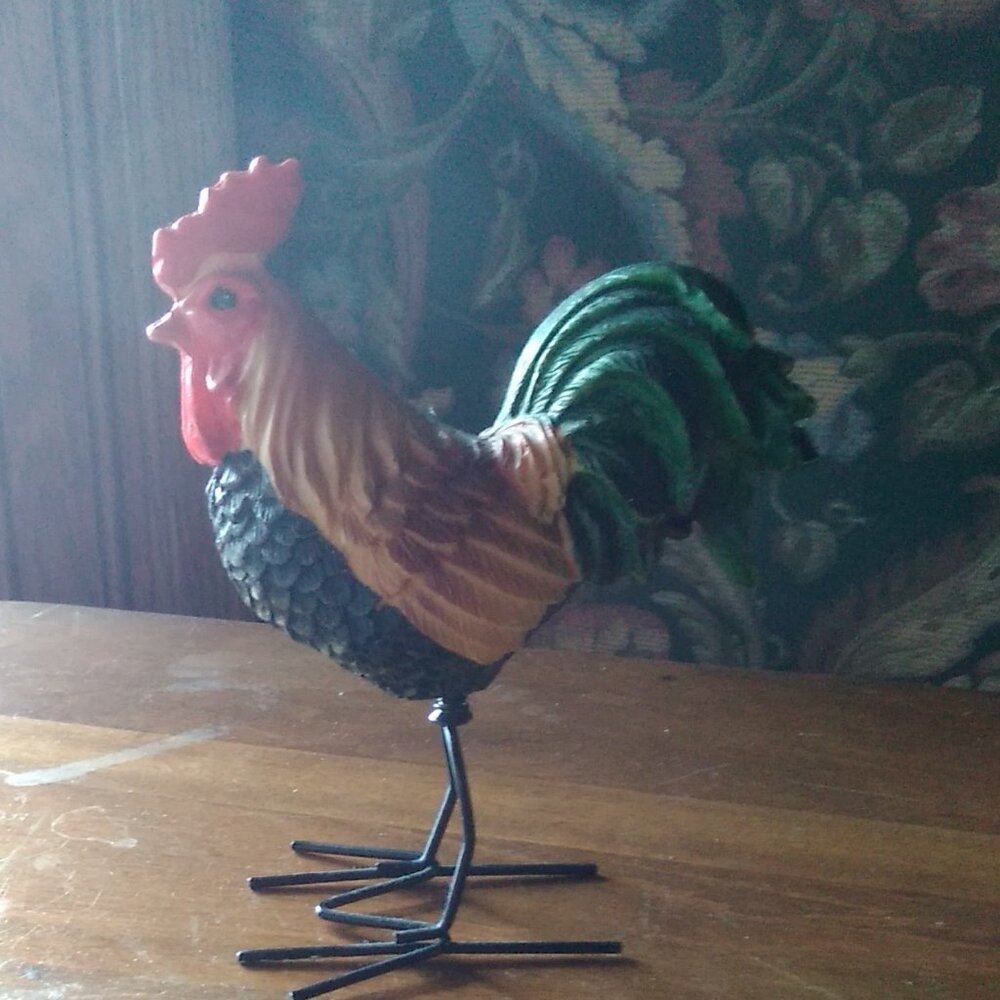 Small Funky Chicken Fun! - Picture 2 of 3